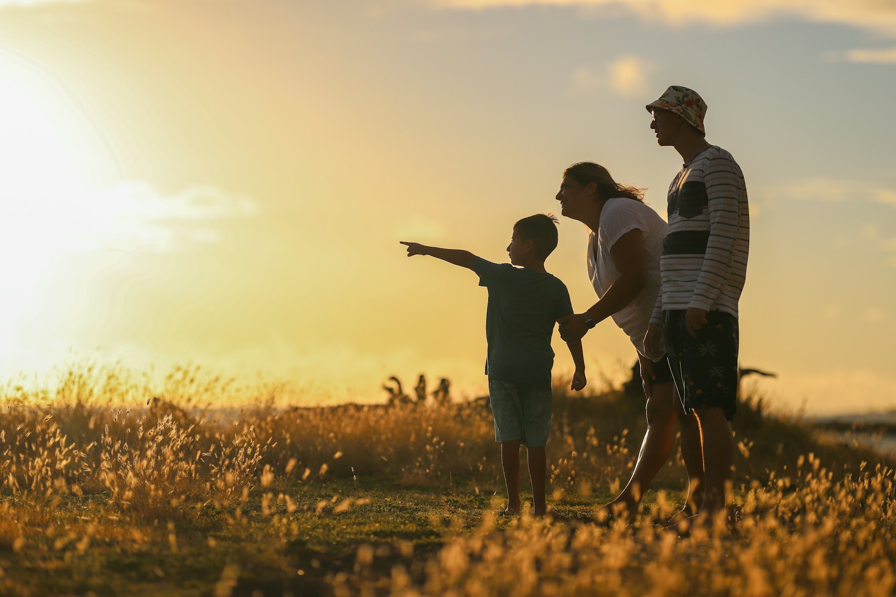 Father and son silhouetted in a field at sunset