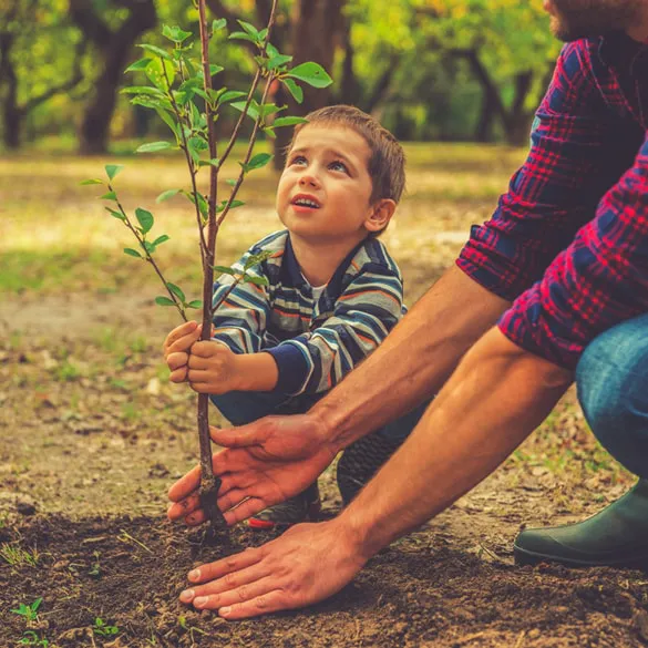Child planting a young tree with a parent